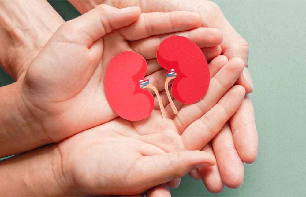 La nefrología y el seguro de salud