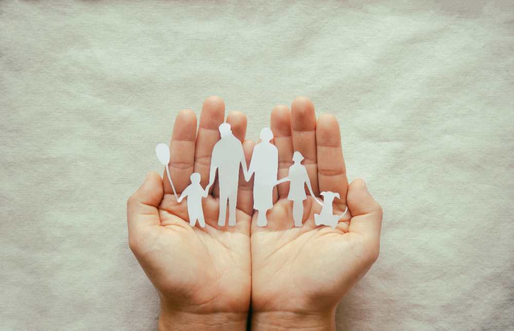 Todos queremos que nuestra familia esté a salvo de cualquier contratiempo. Para que esto sea así, lo mejor es descubrir qué integrantes de la familia de los seguros pueden ayudarnos.