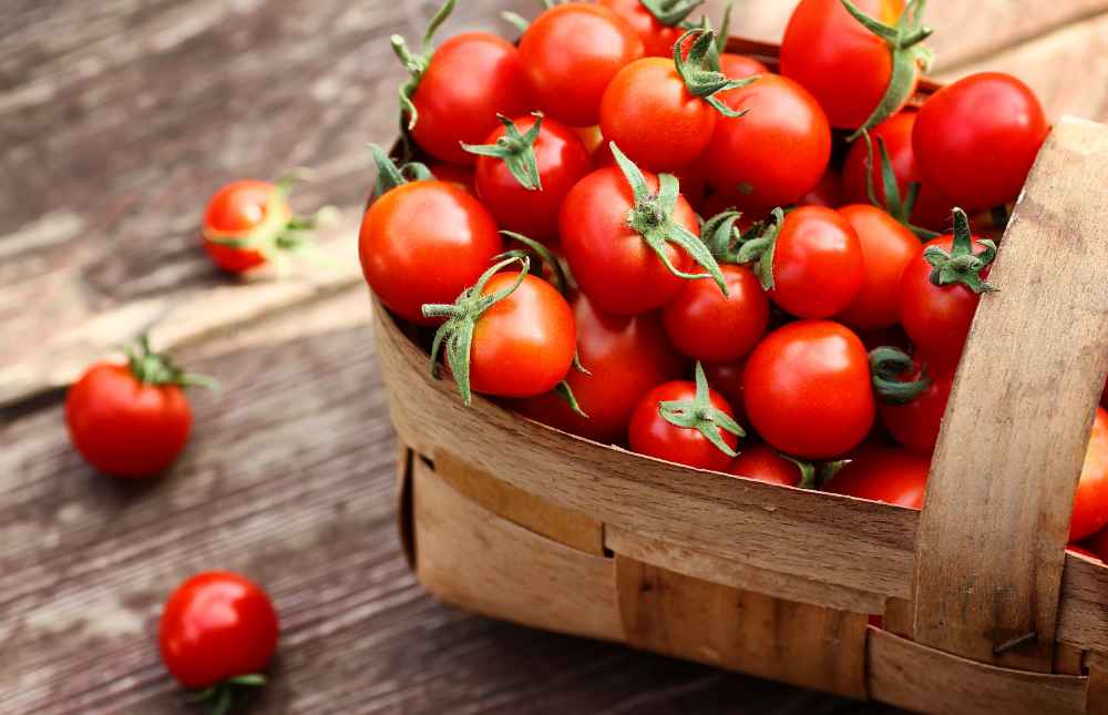 El tomate tiene grandes beneficios para la salud, podemos suponerlo. Pero hoy te contamos algunos de ellos y las propiedades de esta fruta.