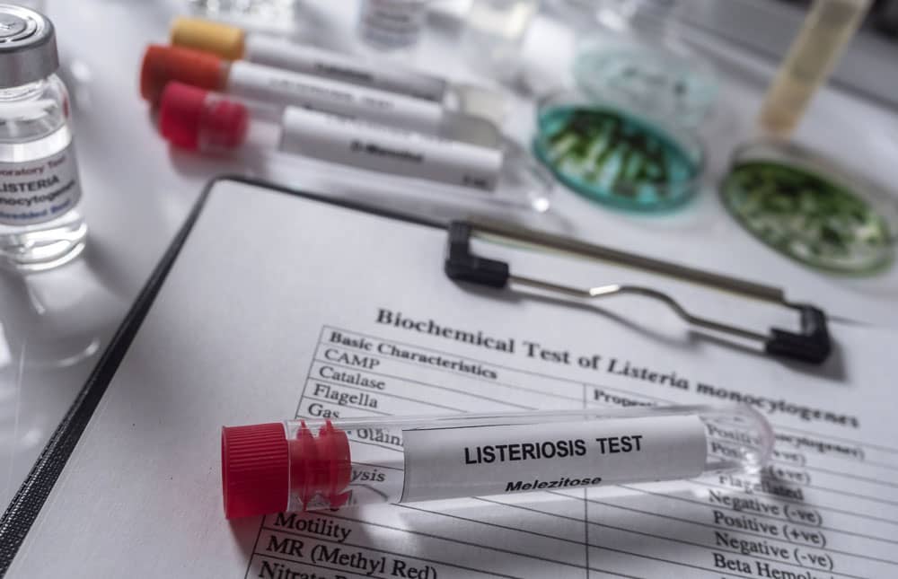 Los animales también pueden contraer listeriosis